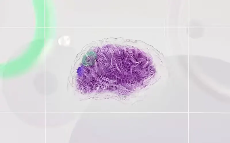 Bold art direction visuals